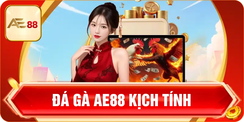 Sảnh đá gà tại AE88 kịch tính nảy lửa